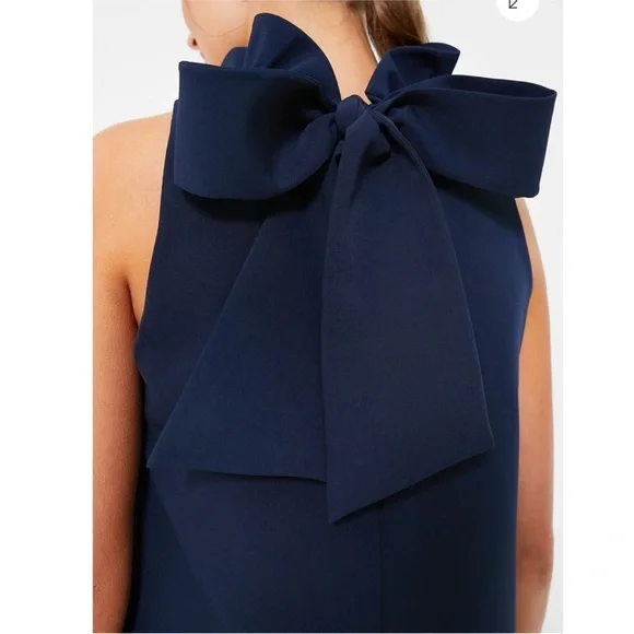 TUCKERNUCK Navy Blythe Dress - Picture 2 of 11